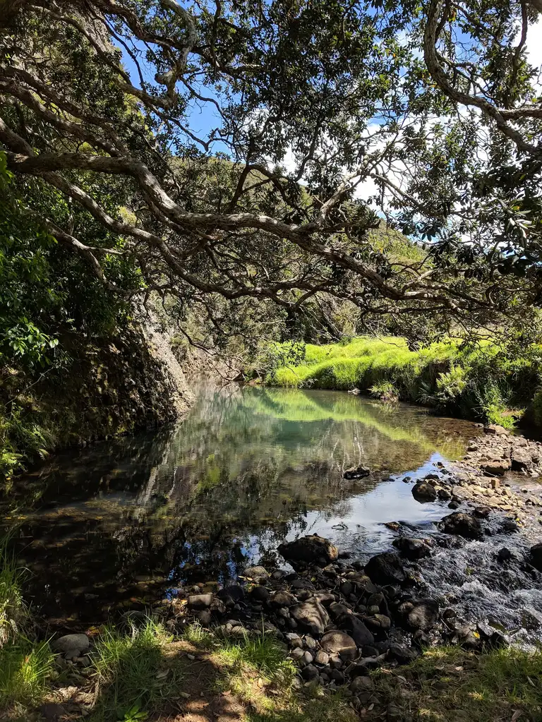 Wairakau stream crossing