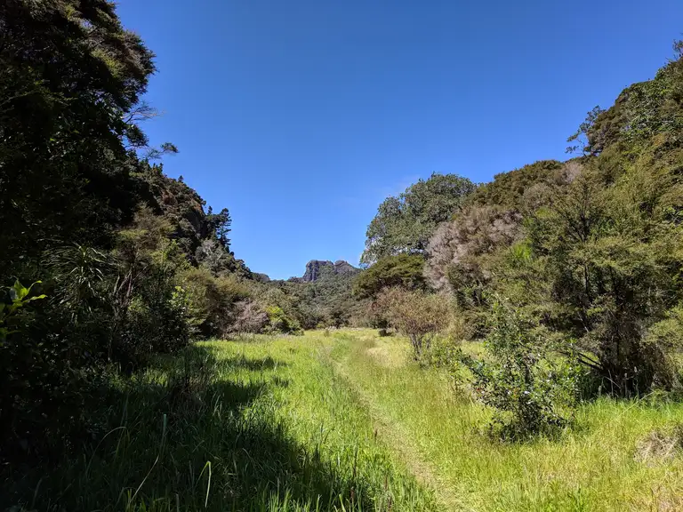 Wairakau stream track