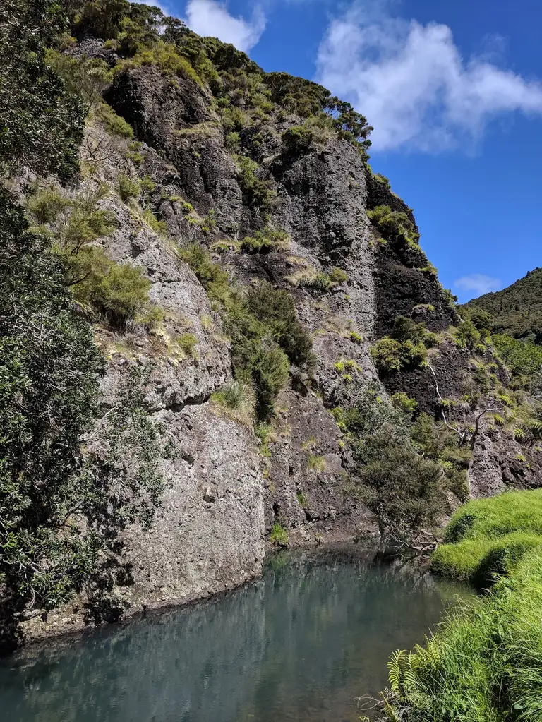 Wairakau stream swimming hole